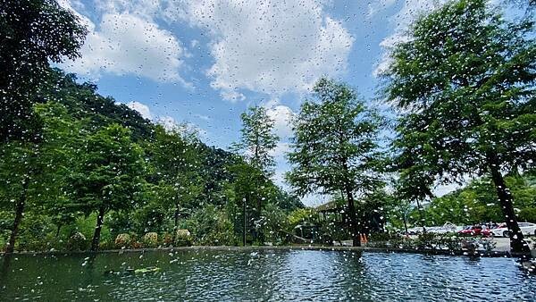 IMG_1736 (1).jpg IMG_1736 (1).jpg