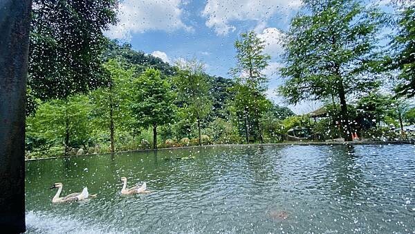 IMG_1737.jpg IMG_1737.jpg