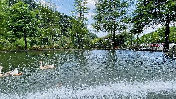 IMG_1735 (1).jpg IMG_1735 (1).jpg