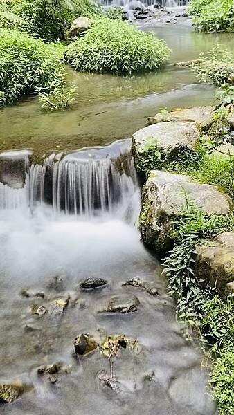 IMG_1748 (1).jpg IMG_1748 (1).jpg