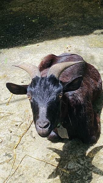 IMG_1611 (1).jpg IMG_1611 (1).jpg