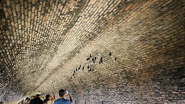 IMG_3224.jpg IMG_3224.jpg