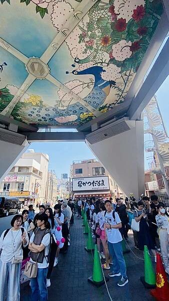 IMG_8565.jpg IMG_8565.jpg