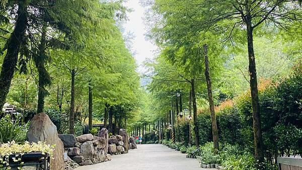 IMG_1742.jpg IMG_1742.jpg