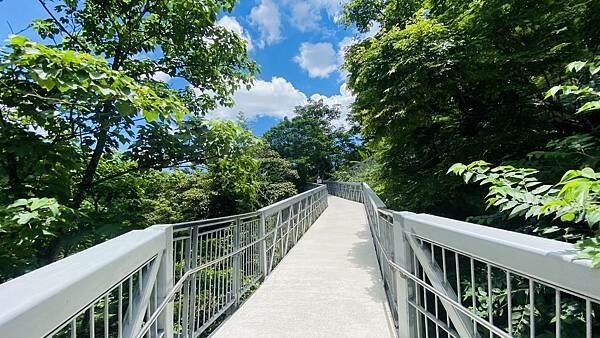 IMG_3065 (1).jpg IMG_3065 (1).jpg