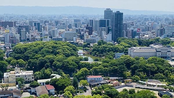 IMG_8661.jpg IMG_8661.jpg