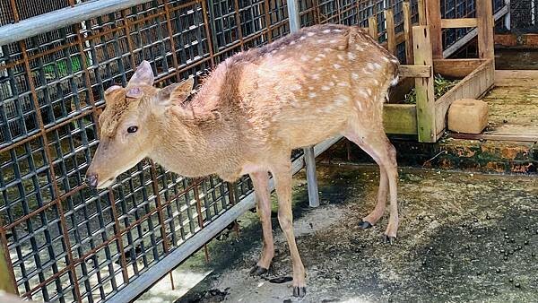 IMG_1609.jpg IMG_1609.jpg