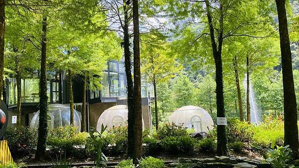 IMG_1631.jpg IMG_1631.jpg