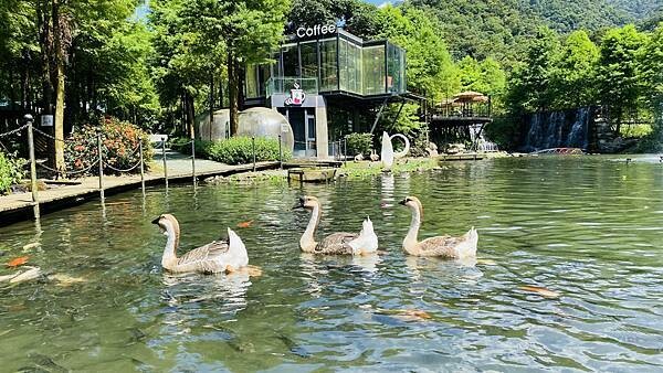 IMG_1517 (1).jpg IMG_1517 (1).jpg