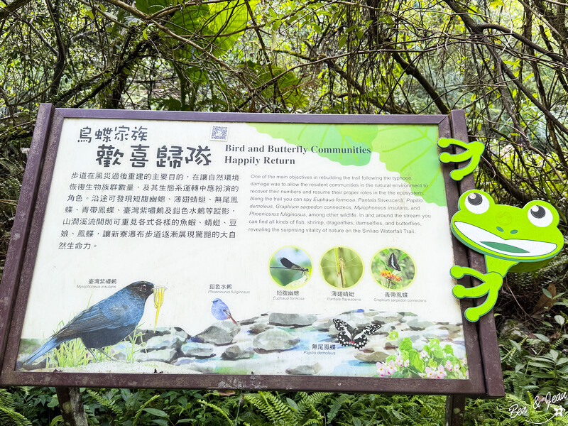 宜蘭縣冬山鄉新寮瀑布》漫步輕鬆好走森林步道  探訪雙層沁涼瀑布  宜蘭冬山免費景點