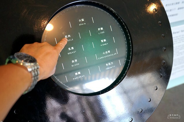 彰化縣鹿港鎮白蘭氏健康博物館》免門票觀光工廠、親子旅遊景點、手做DIY