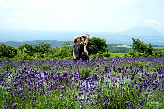 日本九州福岡柳川一日游》搭船遊柳川，享受九州威尼斯的遊船樂趣，柳川、太宰府一日遊及票券說明