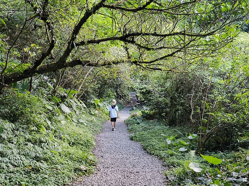 宜蘭縣冬山鄉新寮瀑布》漫步輕鬆好走森林步道  探訪雙層沁涼瀑布  宜蘭冬山免費景點
