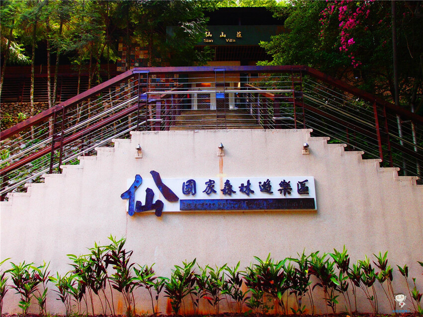 新北市三峽區避暑囉!精選全台8大森林遊樂區懶人包,夏季旅遊清涼首選