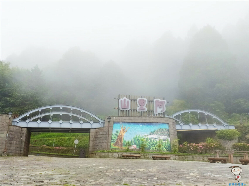 新北市三峽區避暑囉!精選全台8大森林遊樂區懶人包,夏季旅遊清涼首選