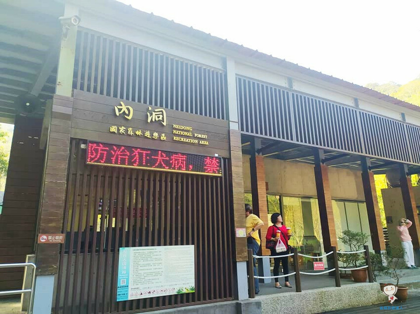 新北市三峽區避暑囉!精選全台8大森林遊樂區懶人包,夏季旅遊清涼首選