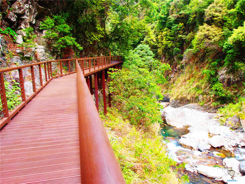 新北市三峽區避暑囉!精選全台8大森林遊樂區懶人包,夏季旅遊清涼首選