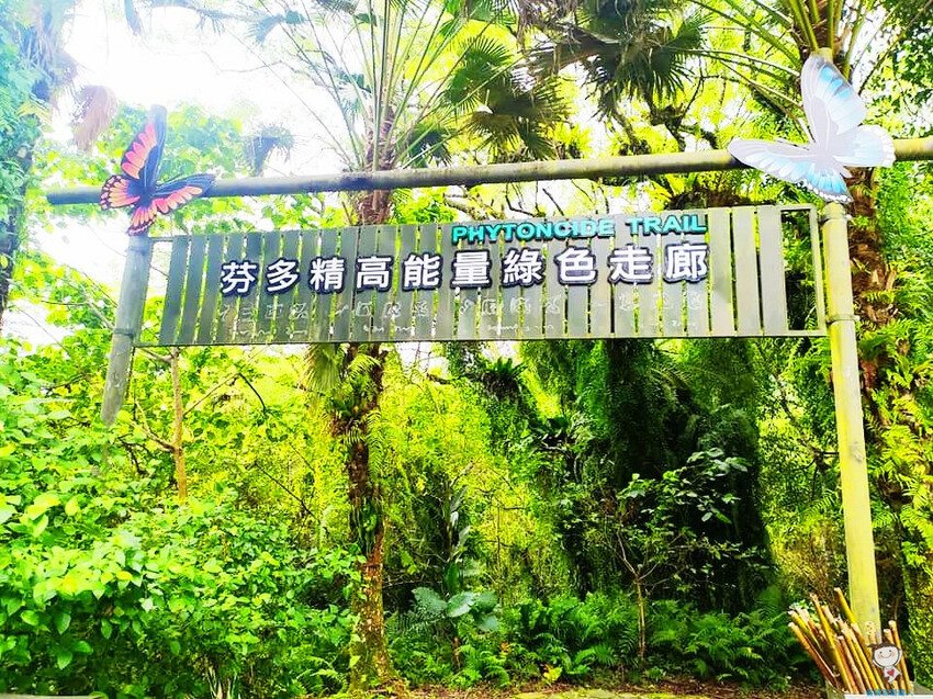 新北市三峽區避暑囉!精選全台8大森林遊樂區懶人包,夏季旅遊清涼首選