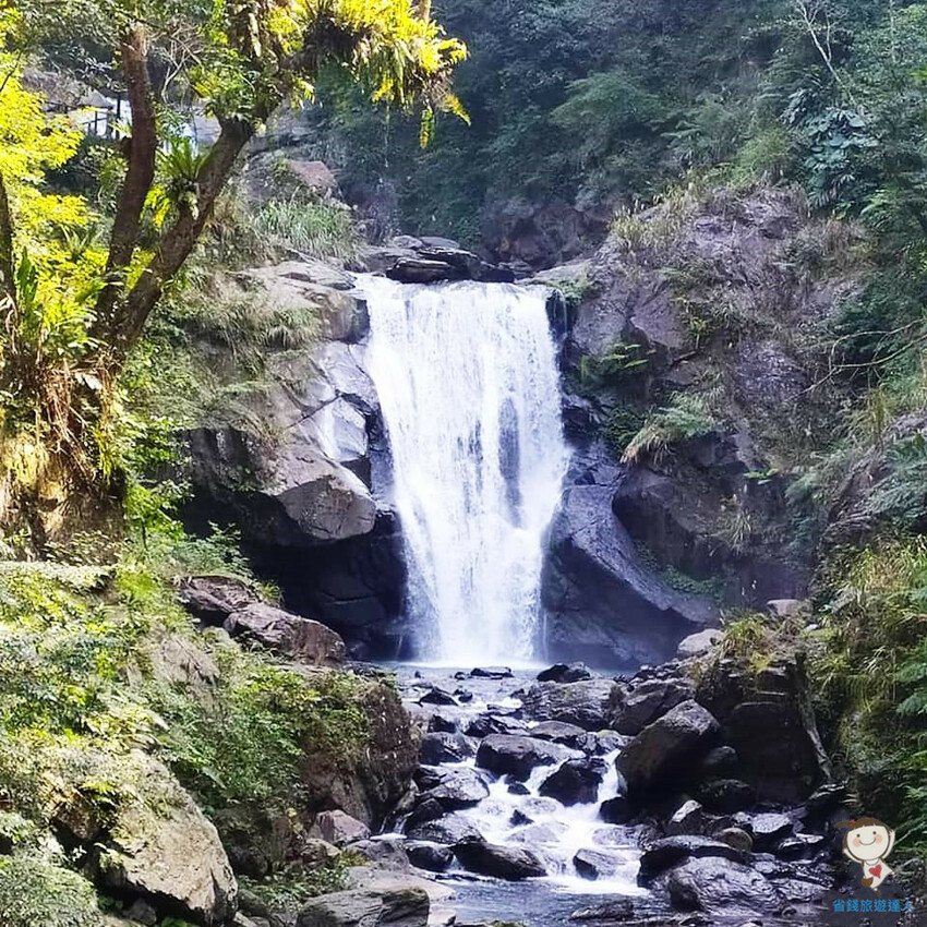新北市三峽區避暑囉!精選全台8大森林遊樂區懶人包,夏季旅遊清涼首選