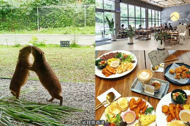 新北市三峽區避暑囉!精選全台8大森林遊樂區懶人包,夏季旅遊清涼首選