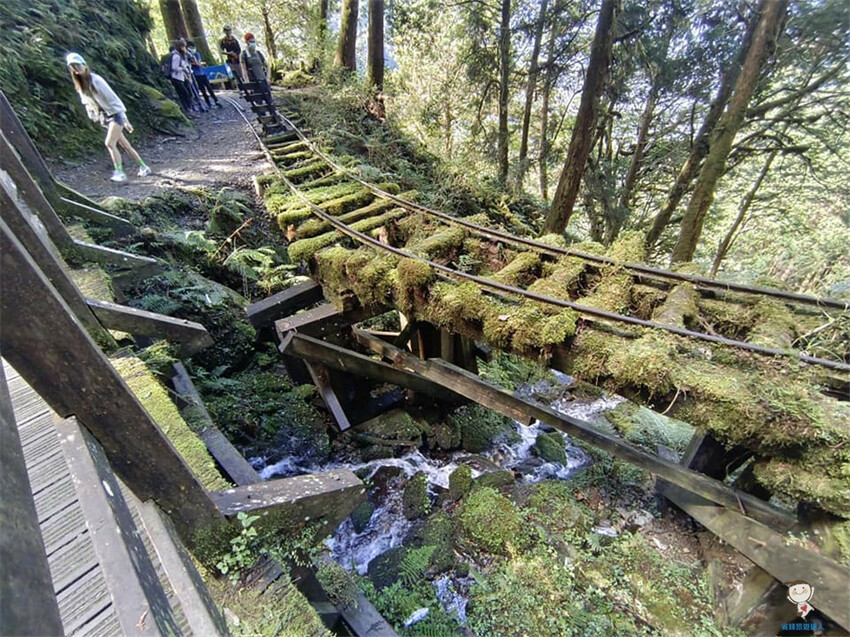 新北市三峽區避暑囉!精選全台8大森林遊樂區懶人包,夏季旅遊清涼首選