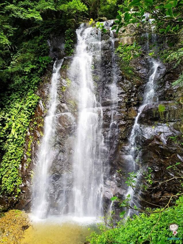 新北市三峽區避暑囉!精選全台8大森林遊樂區懶人包,夏季旅遊清涼首選