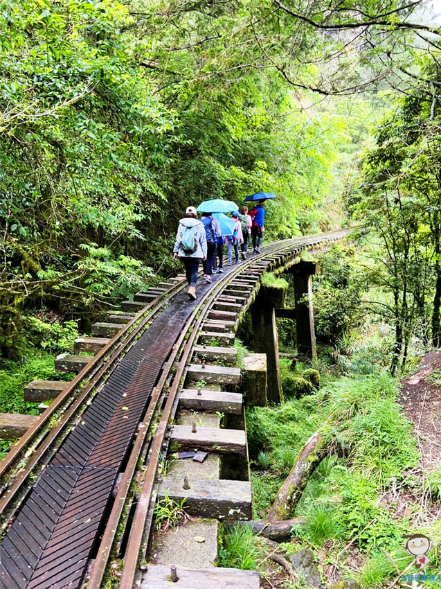 新北市三峽區避暑囉!精選全台8大森林遊樂區懶人包,夏季旅遊清涼首選