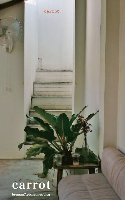 CARROTCAFE-23