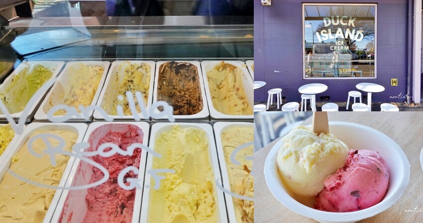 紐西蘭【紐西蘭】漢彌頓｜Duck Island Ice Cream，冰淇淋愛好者創立的天然風味冰淇淋