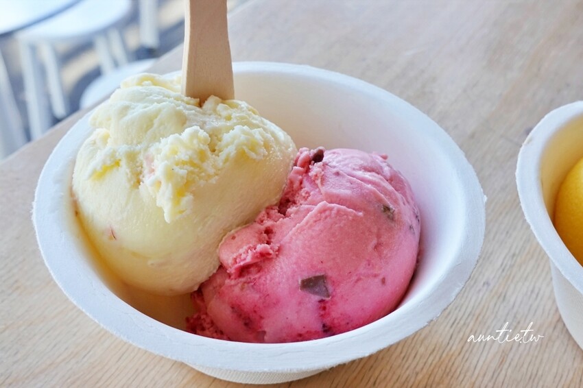 紐西蘭【紐西蘭】漢彌頓｜Duck Island Ice Cream，冰淇淋愛好者創立的天然風味冰淇淋