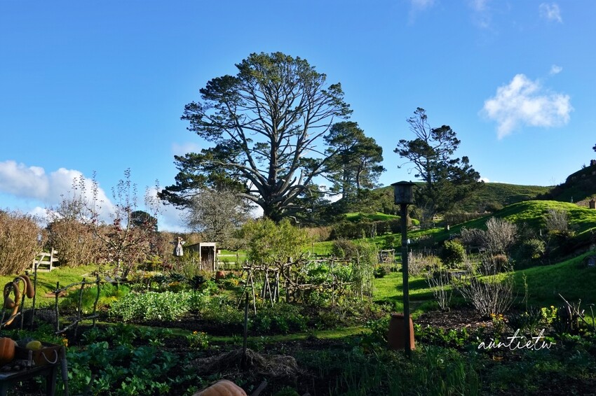 紐西蘭【紐西蘭北島旅行】紐西蘭航空直飛,奧克蘭、羅托魯瓦、陶波、漢彌頓,13天租車自駕旅行