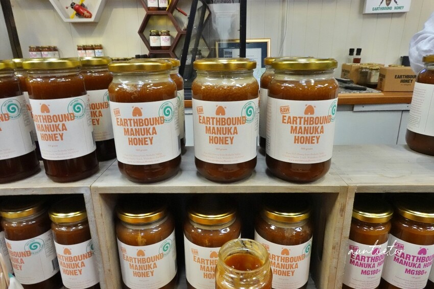 紐西蘭【紐西蘭北島旅行】紐西蘭航空直飛,奧克蘭、羅托魯瓦、陶波、漢彌頓,13天租車自駕旅行