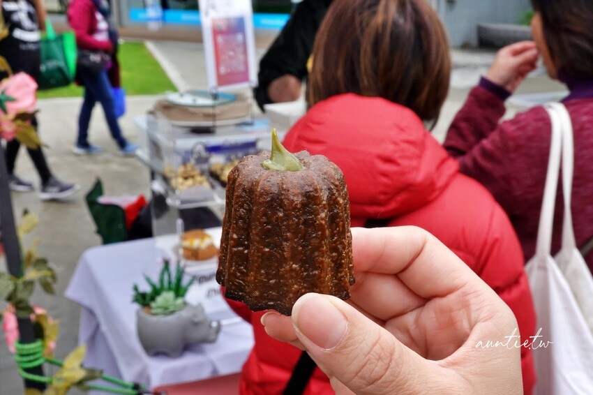 紐西蘭【紐西蘭北島旅行】紐西蘭航空直飛,奧克蘭、羅托魯瓦、陶波、漢彌頓,13天租車自駕旅行