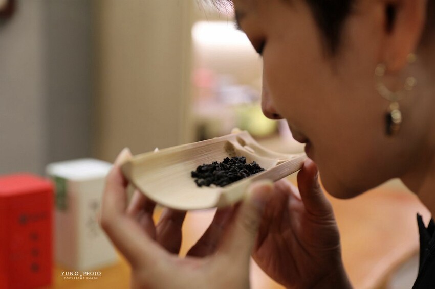 嘉義縣番路鄉「山の埕」阿里山公路熱門免門票親子旅途中繼景點!享用簡餐 免費品茗 (嘉義阿里山觸口遊客中心)