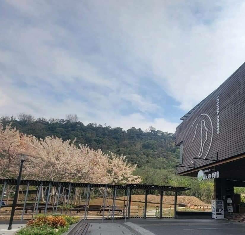 嘉義縣番路鄉「山の埕」阿里山公路熱門免門票親子旅途中繼景點!享用簡餐 免費品茗 (嘉義阿里山觸口遊客中心)