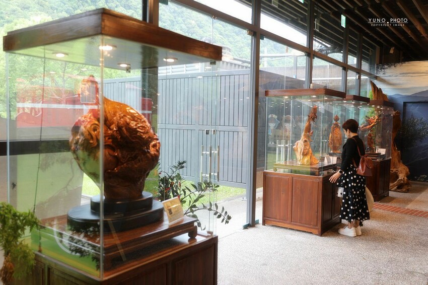 嘉義縣番路鄉「山の埕」阿里山公路熱門免門票親子旅途中繼景點!享用簡餐 免費品茗 (嘉義阿里山觸口遊客中心)