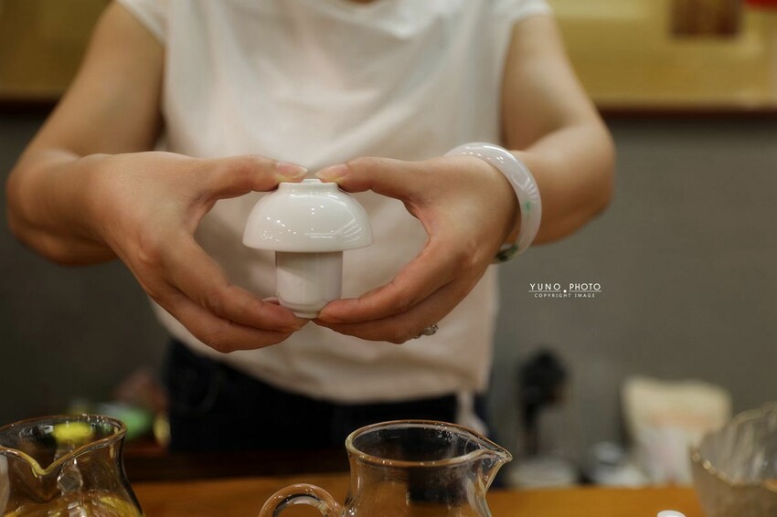 嘉義縣番路鄉「山の埕」阿里山公路熱門免門票親子旅途中繼景點!享用簡餐 免費品茗 (嘉義阿里山觸口遊客中心)