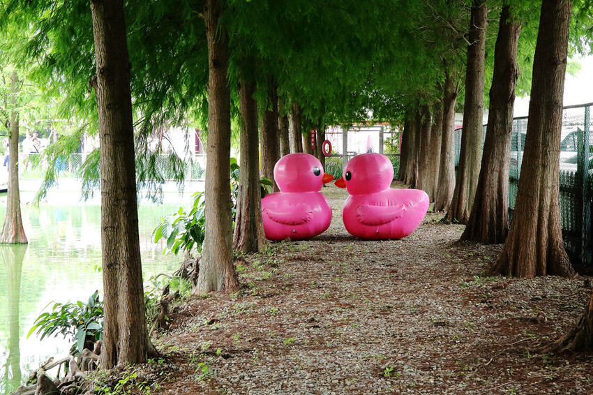 雲林古坑粉紅泡泡,雲林十大打卡聖地,雲林絕對不能錯過的景點,