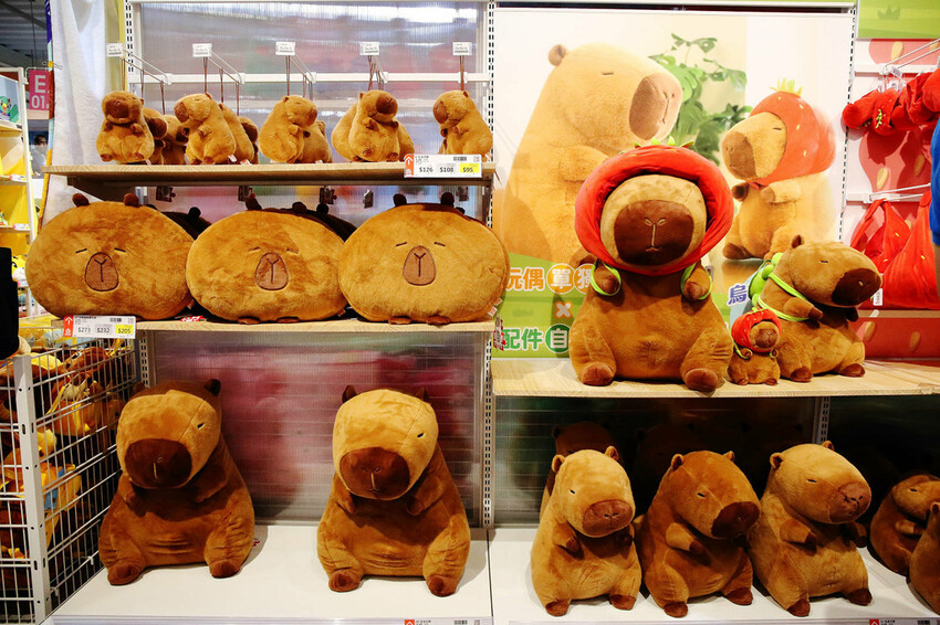 嘉義KHTOY絨毛玩偶旗艦館，正版授權絨毛玩偶專賣店，超過1