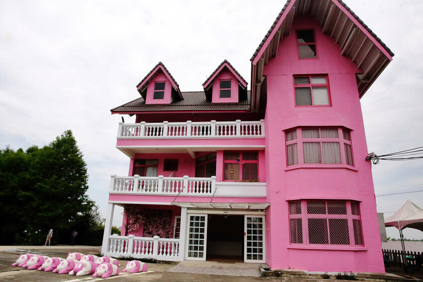 雲林古坑粉紅泡泡,雲林十大打卡聖地,雲林絕對不能錯過的景點,