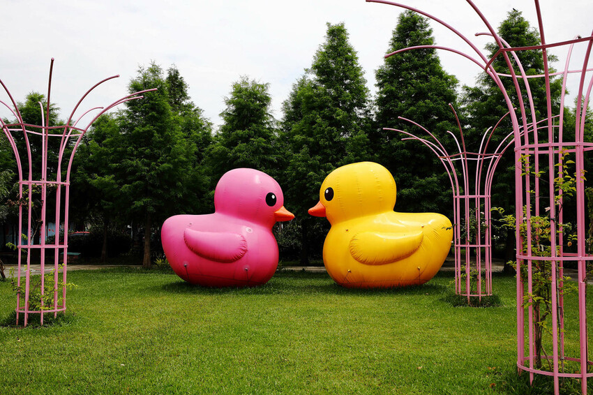 雲林古坑粉紅泡泡,雲林十大打卡聖地,雲林絕對不能錯過的景點,