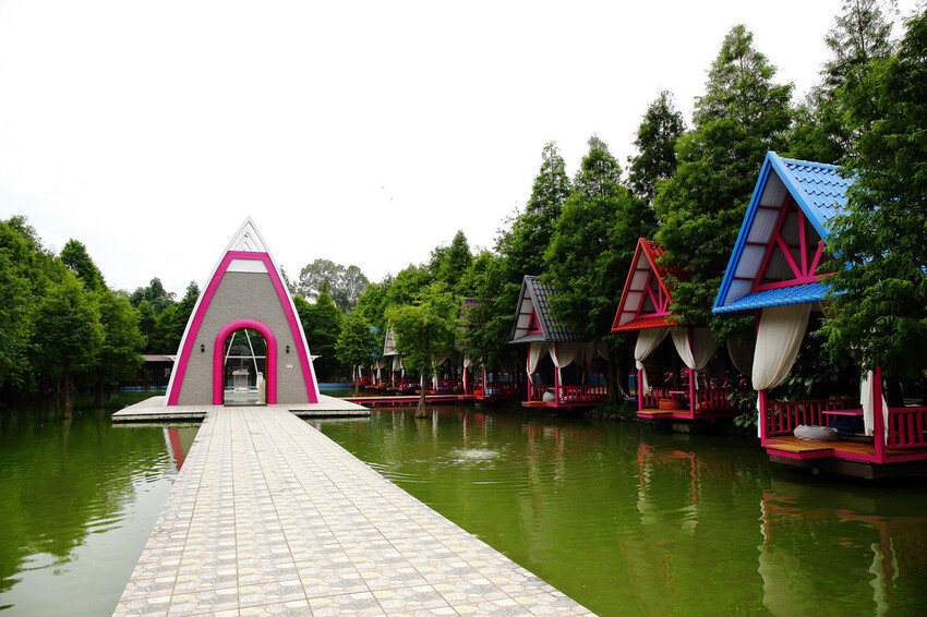 雲林古坑粉紅泡泡,雲林十大打卡聖地,雲林絕對不能錯過的景點,
