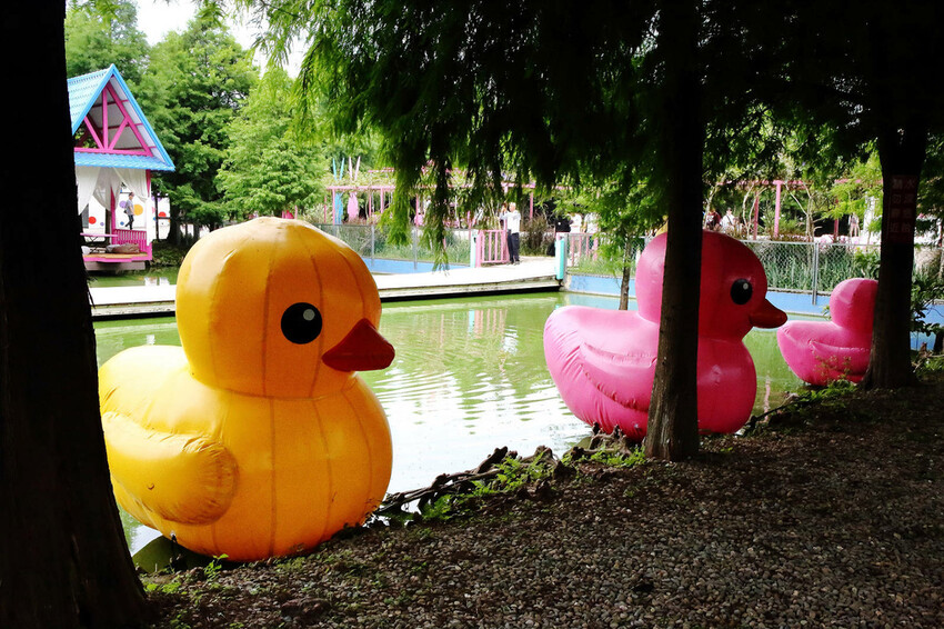 雲林古坑粉紅泡泡,雲林十大打卡聖地,雲林絕對不能錯過的景點,
