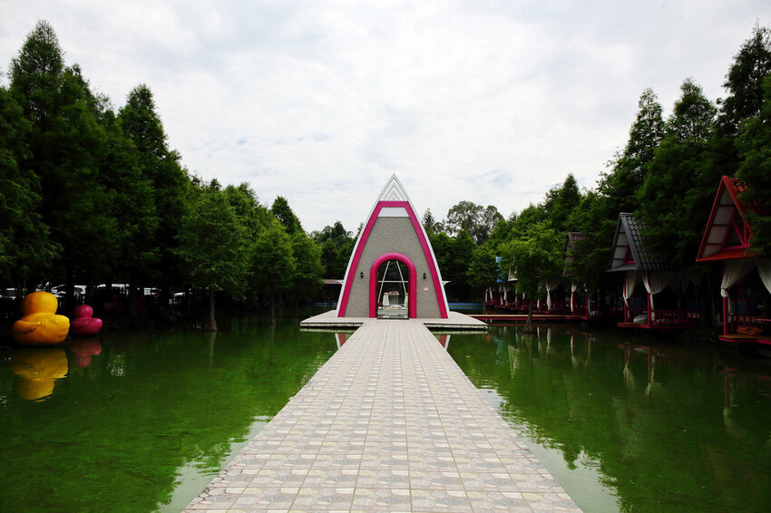 雲林古坑粉紅泡泡,雲林十大打卡聖地,雲林絕對不能錯過的景點,