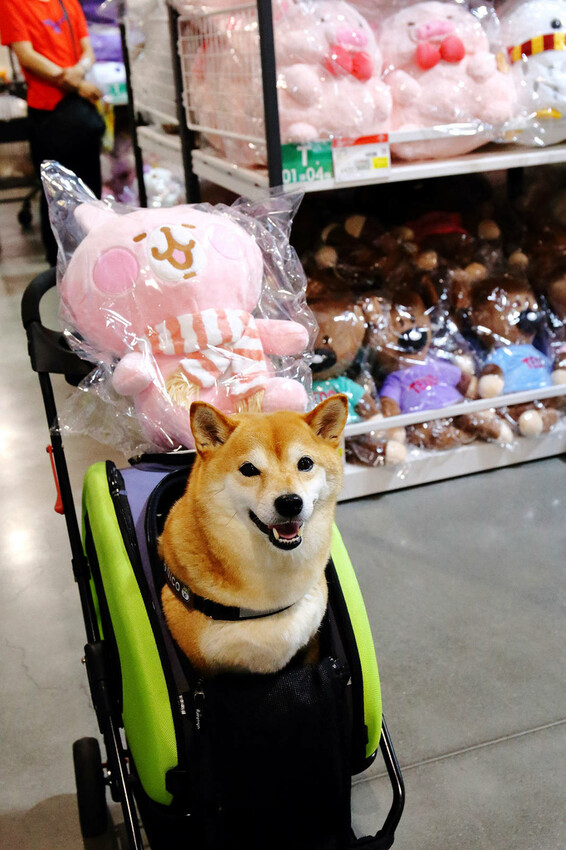 嘉義KHTOY絨毛玩偶旗艦館，正版授權絨毛玩偶專賣店，超過1