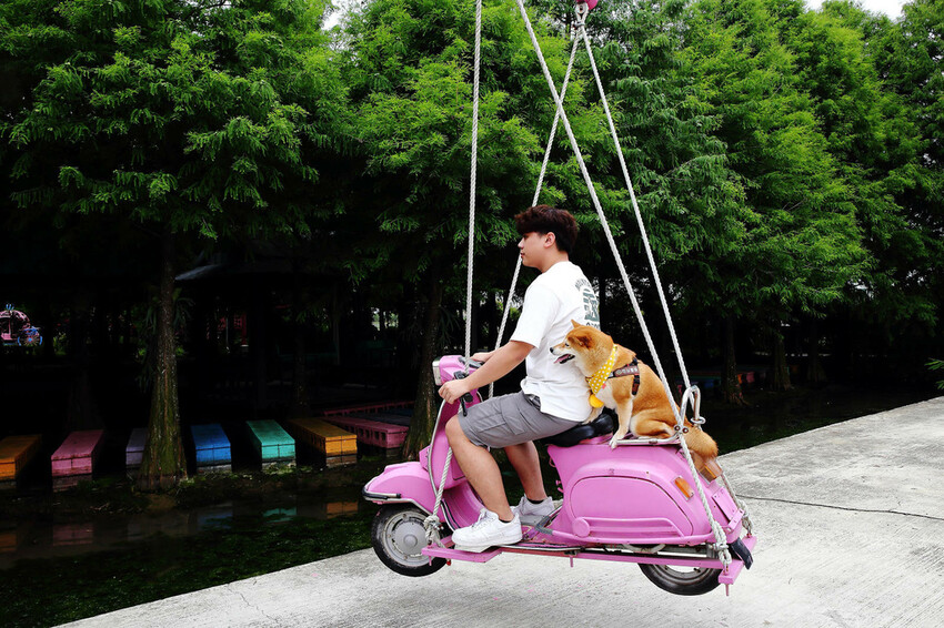 雲林古坑粉紅泡泡,雲林十大打卡聖地,雲林絕對不能錯過的景點,