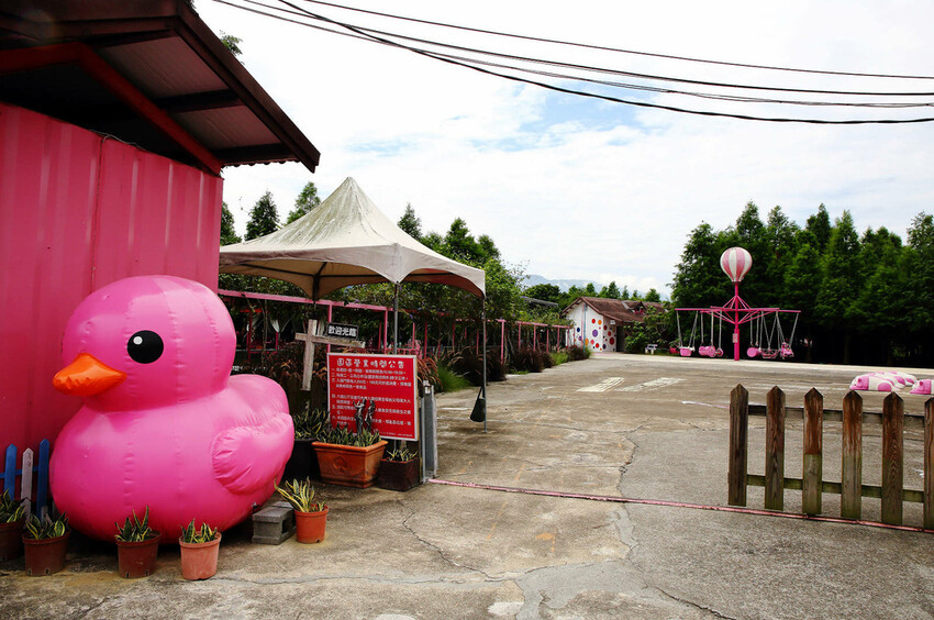 雲林古坑粉紅泡泡,雲林十大打卡聖地,雲林絕對不能錯過的景點,