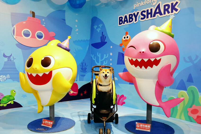 嘉義KHTOY絨毛玩偶旗艦館，正版授權絨毛玩偶專賣店，超過1