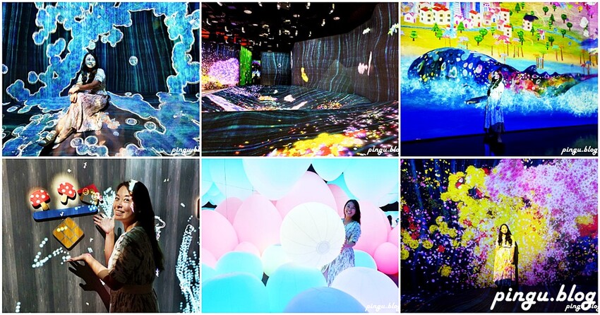 台北市士林區teamLab共創!未來園|台北展覽 與沖繩夢幻同步 暑假親子必去展覽