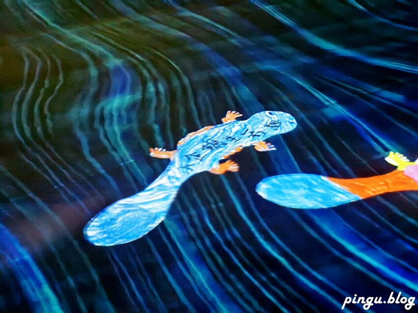 台北市士林區teamLab共創!未來園|台北展覽 與沖繩夢幻同步 暑假親子必去展覽